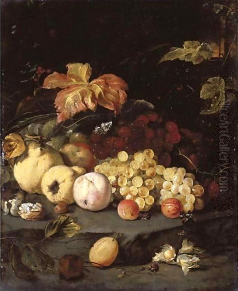 Still Life With Summer Fruits Including Apples, Grapes, A Peach, A Plum, Blackberries, Hazelnuts, Walnuts And Other Objects - view 1