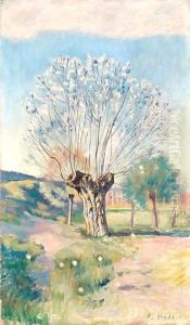 Willow Tree by Ferdinand Hodler