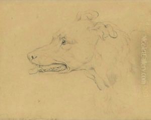 Study Of The Head Of A Greyhound by Sir Edwin Henry Landseer