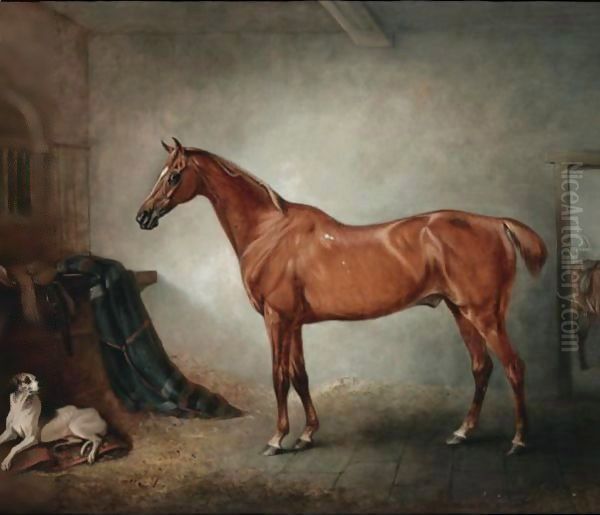 Firebird, A Chestnut Hunter, And Policy, A Foxhound, In A Loose Box, - view 1