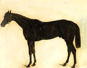 Portrait Of Blue Bonnet by John Frederick Herring Snr