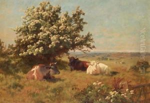 Cows In A Meadow by Charles Collins
