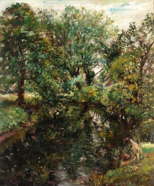 A Shady Pool - view 1