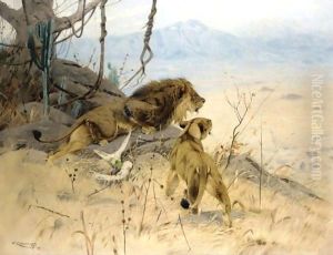 Lowe Und Lowin Erspahen Eine Zebraherde (Lion And Lioness Stalking A Zebra Herd) by Wilhelm Kuhnert