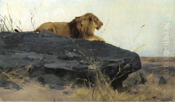 Lowe Auf Felsen (Lion On A Rock) - view 1