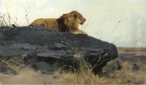 Lowe Auf Felsen (Lion On A Rock) by Wilhelm Kuhnert