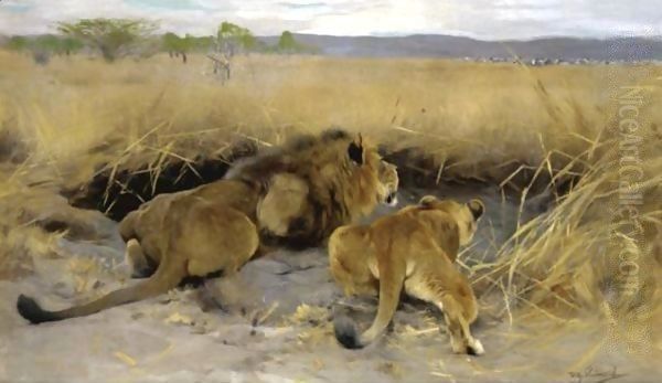 Beute In Sicht (Prey In Sight) - view 1