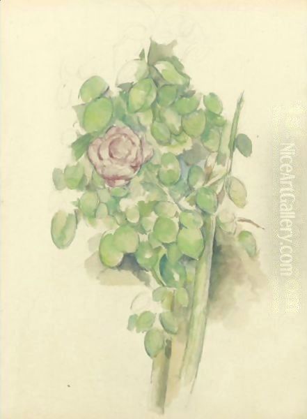 Rosier - view 1