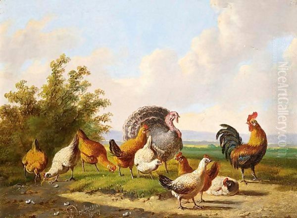 Poultry In A Summer Landscape - view 1