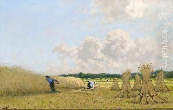 Harvest Time - view 1