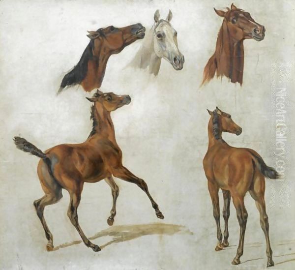 Pferdestudien (Horse Studies) - view 1