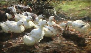 Nine Ducks by Alexander Max Koester