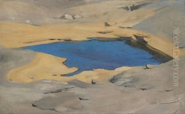 Watering Hole, Sudan - view 1