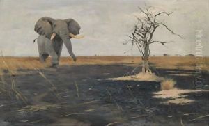The Lone Elephant by Wilhelm Kuhnert