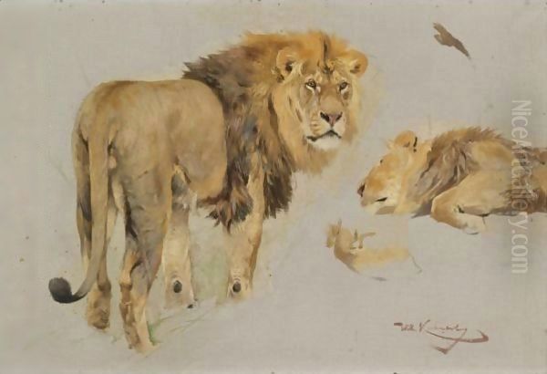 Study Of Lions - view 1