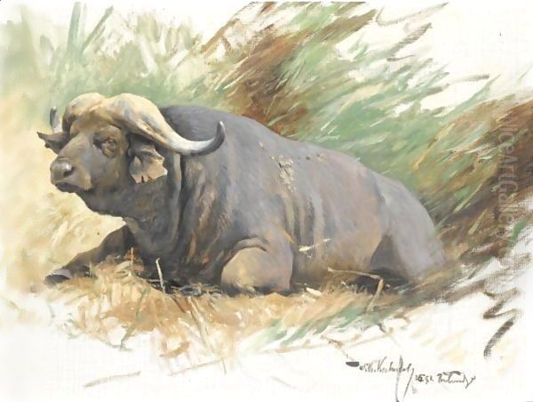 Study Of A Buffalo - view 1