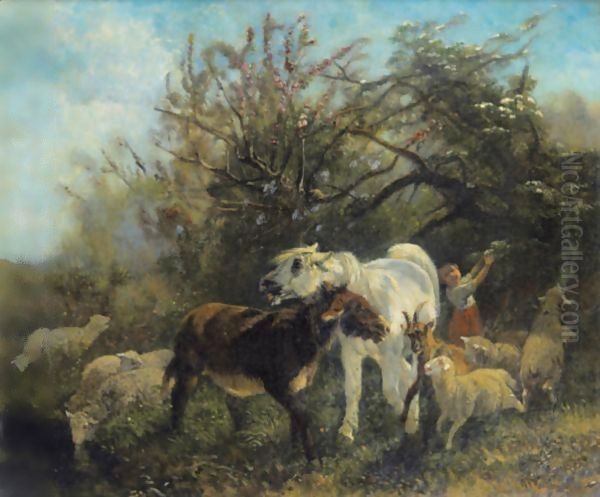 Child And Sheep In The Country - view 1