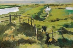 Study Of A Meadow