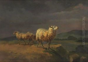 Sheep In A Landscape by Balthasar Paul Ommeganck