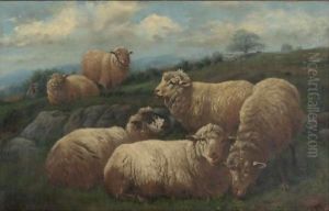Sheep In A Pasture by Arthur Fitzwilliam Tait