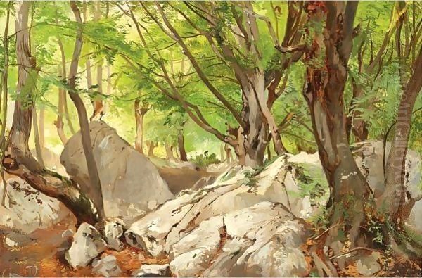 Forest Glade - view 1
