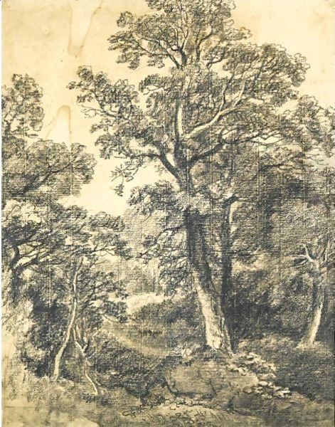 A Wooded Landscape, East Bergholt - view 1