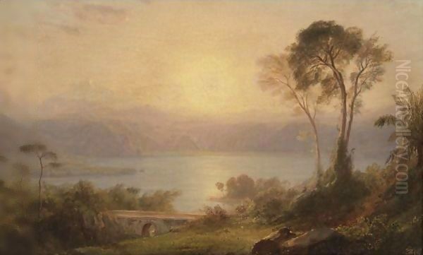 Tropical Landscape 2 - view 1