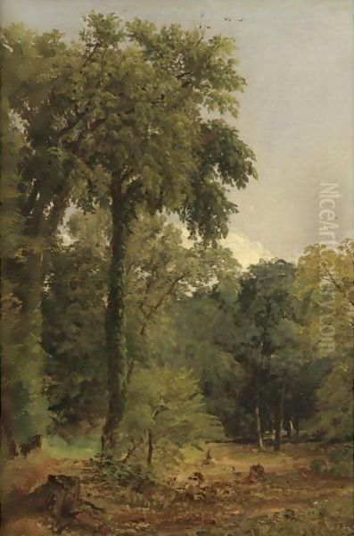 A Stand Of Trees - view 1