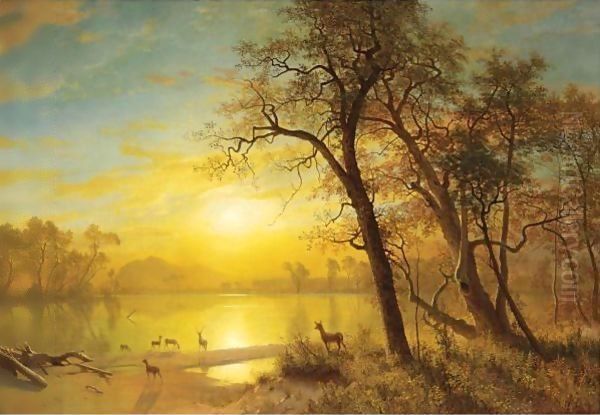 Mountain Lake 3 - view 1