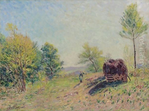 Dans Le Bois Au Printemps - view 1