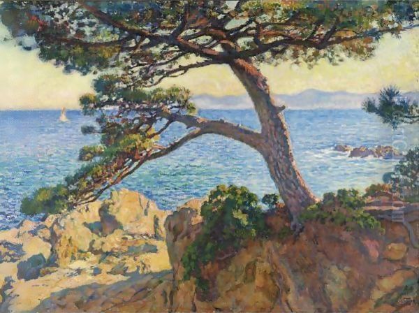 Le Pin De La Fossette - view 1