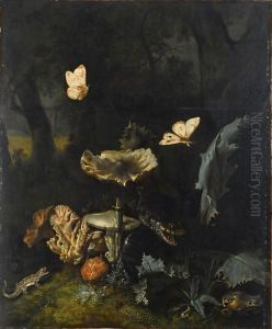 A Forest Floor Still Life With Various Fungi, Thistles, An Aspic Viper, A Sand Lizard, A Snail, A Tree Frog And Two Moths by Otto Marseus van Schrieck