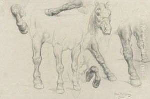 Study For The Horse Fair by Rosa Bonheur
