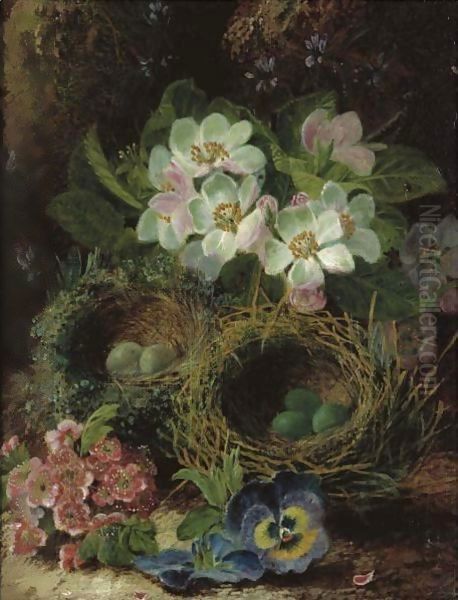 Primroses - view 1