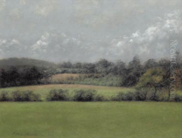 Sussex Fields, Noon - view 1