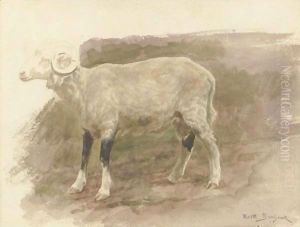 Study Of A Ram by Rosa Bonheur