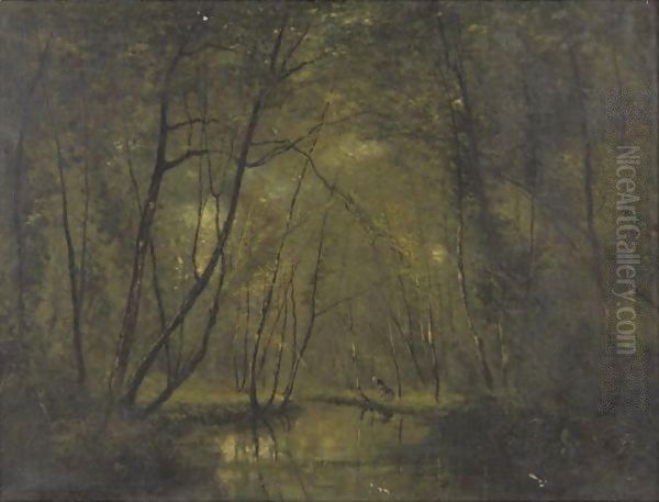 A Forest Stream - view 1