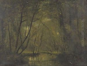 A Forest Stream