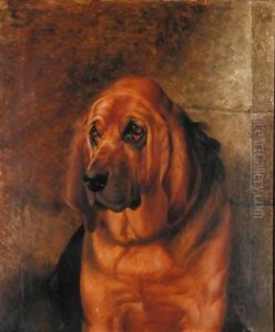 Portrait Of A Bloodhound