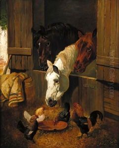 Feeding Time