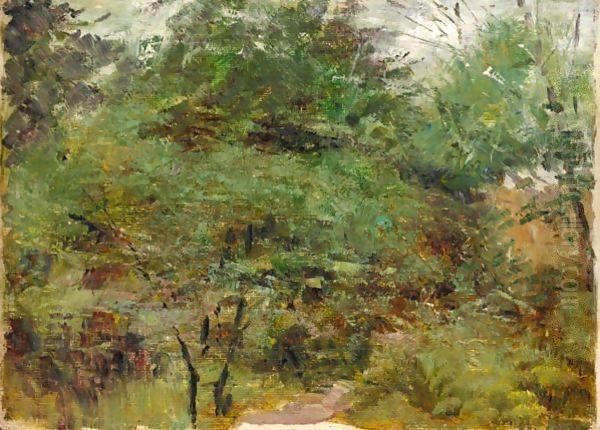Wattle Study - view 1