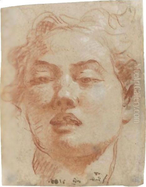 Head Of A Young Man - view 1