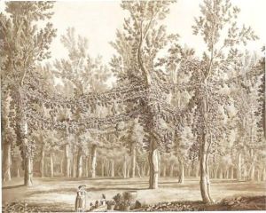 Landscape With Women And Children In The Foreground Of A Elm-Wood With Vines Growing As Garlands Between Them by Jakob Philippe Hackert