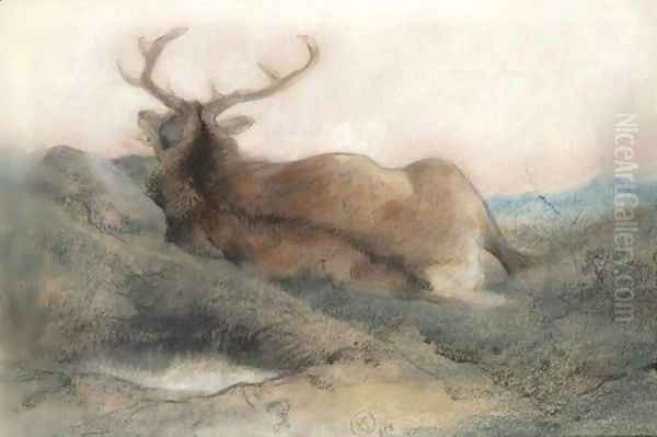 A Stag At Tarbet - view 1