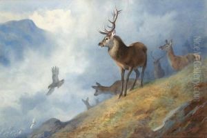 Red Deer Watching A Golden Eagle Hunt Ptarmigan by Archibald Thorburn