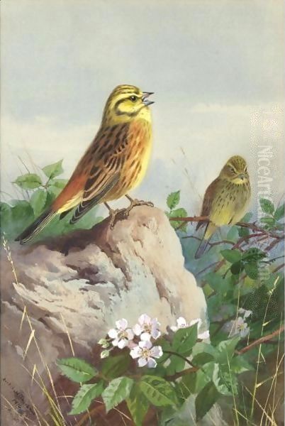 A Pair Of Yellowhammers - view 1
