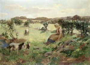 Summer In Galloway