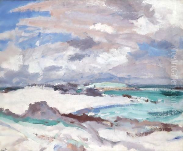 Iona, The North Shore - view 1