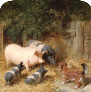 Farmyard Gossip