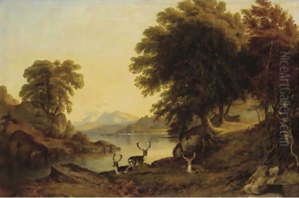 Deer By The Banks Of A Lake - view 1